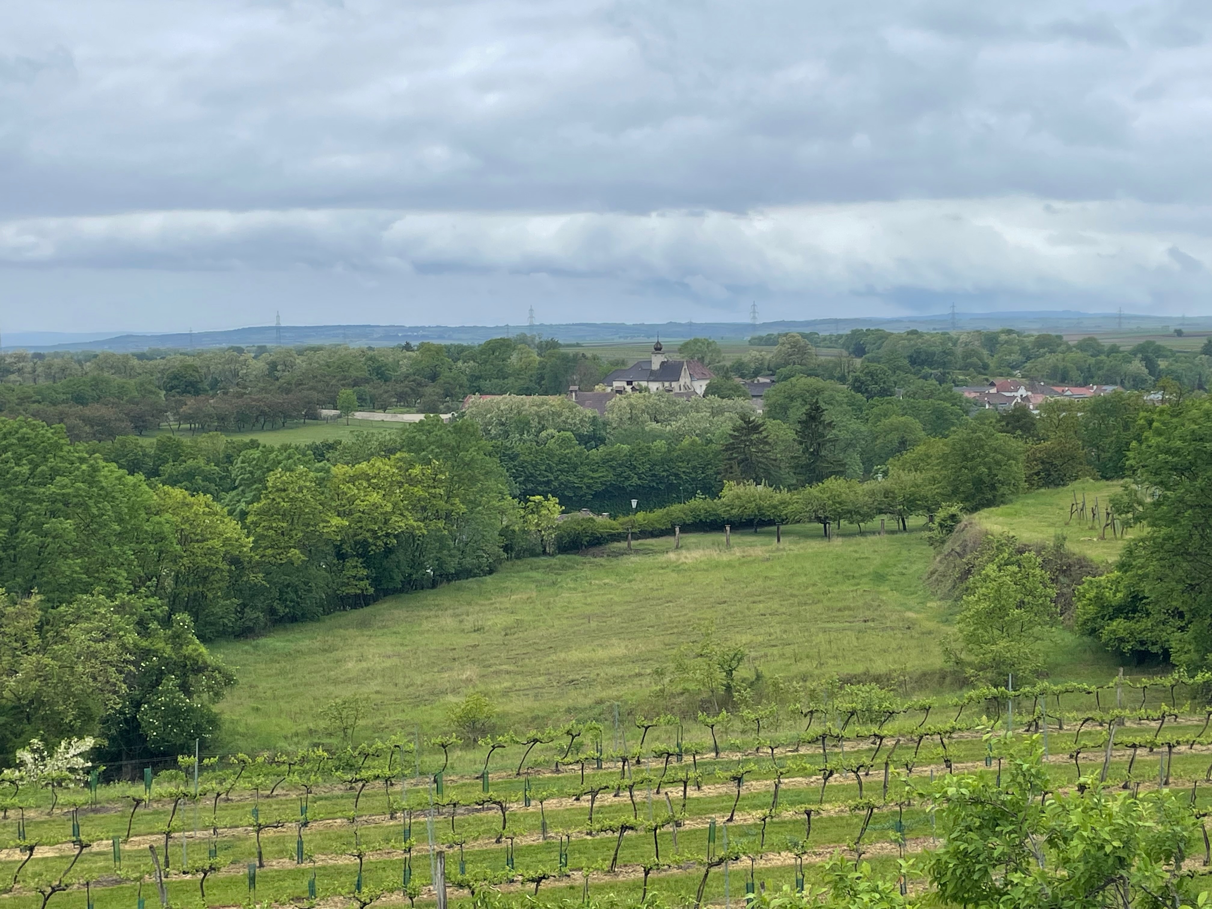 Wohnen am Schlossberg - Innenansicht 2