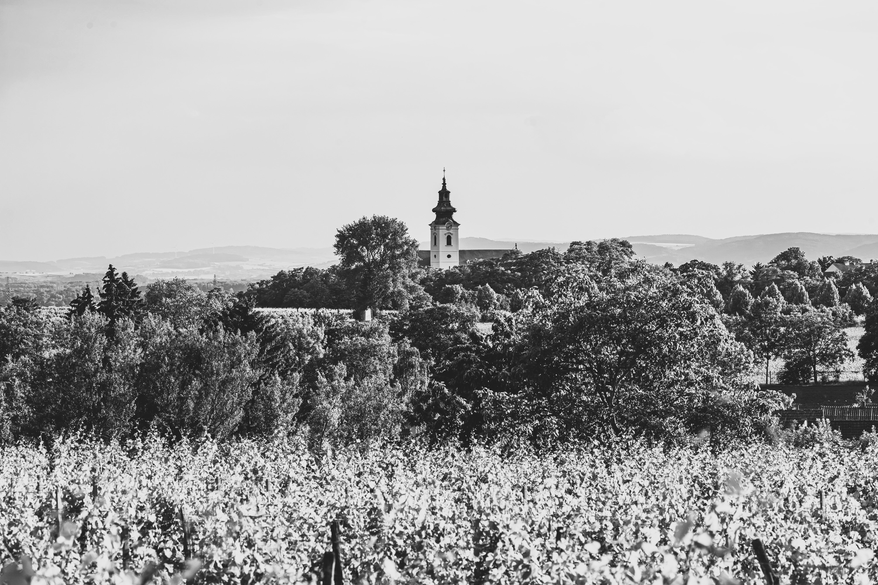 Kirchberg am Wagram